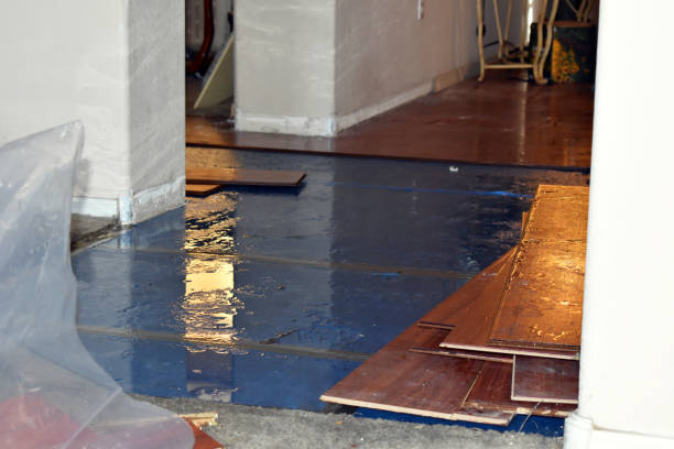 Professional Basement Flood Cleanup technician working in Bokeelia, FL
